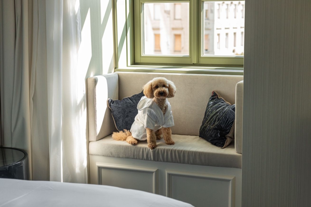 Dog Friendly Hotel in Budapest
