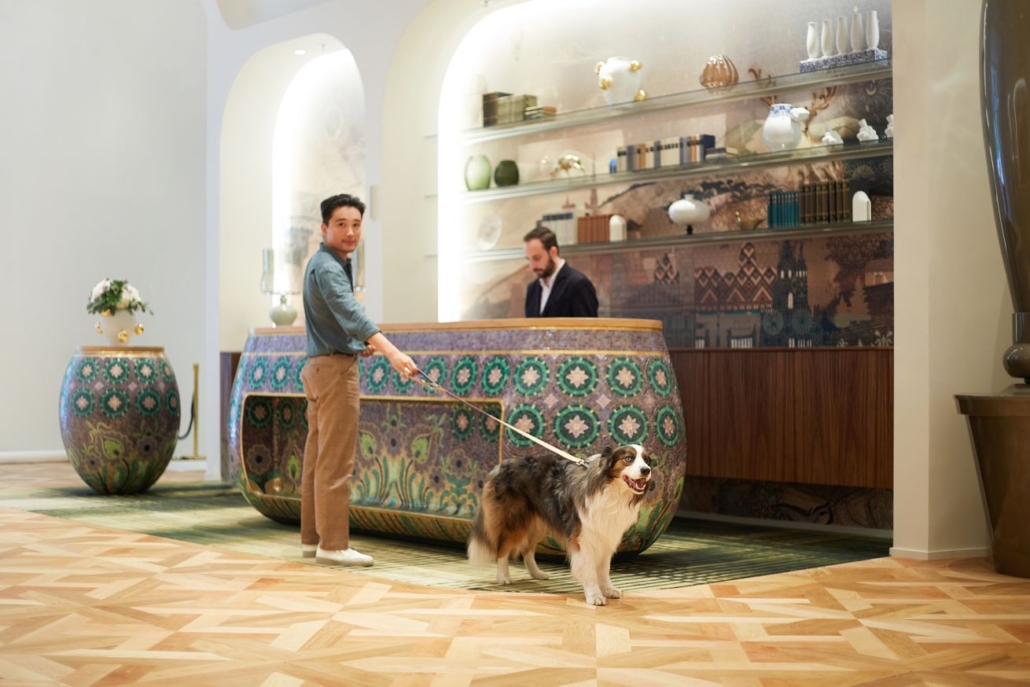 Dog Friendly Hotel in Budapest